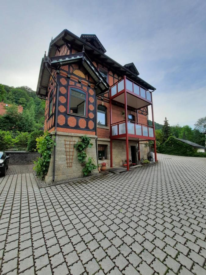 Ferienwohnung Villa Frosch Майнинген Экстерьер фото